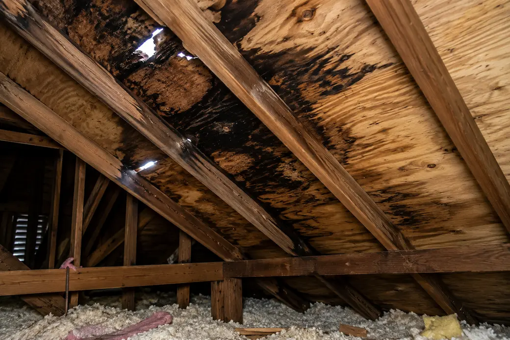 Signs of Roof Decking Damage: What Houston Homeowners Should Look For